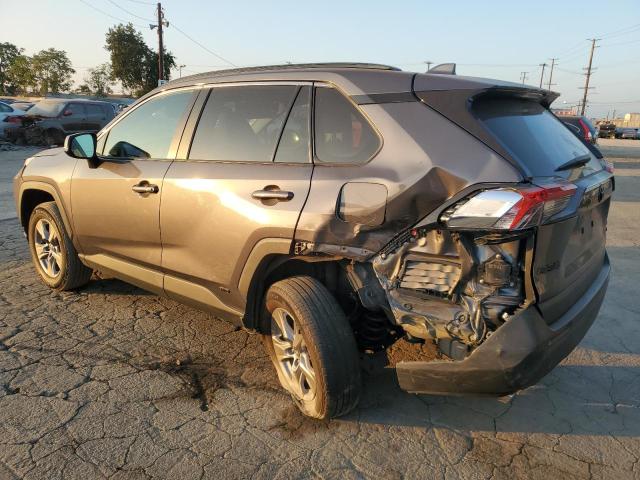 2024 TOYOTA RAV4 LE #3304025529