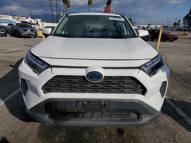 2023 TOYOTA RAV4 LE #3311635228
