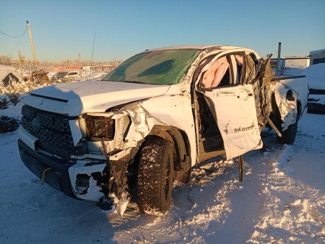 Global Auto Auctions: 2019 TOYOTA TUNDRA DOU