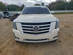 Lot #3310420953 2015 CADILLAC ESCALADE P