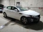 Lot #3304528436 2013 KIA OPTIMA EX