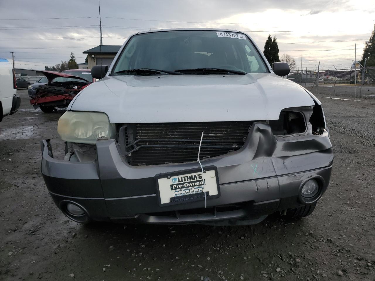 Lot #3281775891 2006 FORD ESCAPE XLT