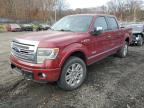 Lot #3295528886 2014 FORD F150 SUPER