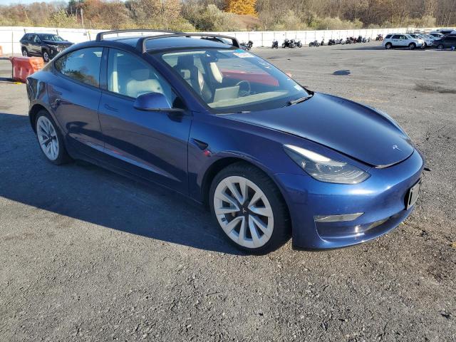 2023 TESLA MODEL 3 #3284629388