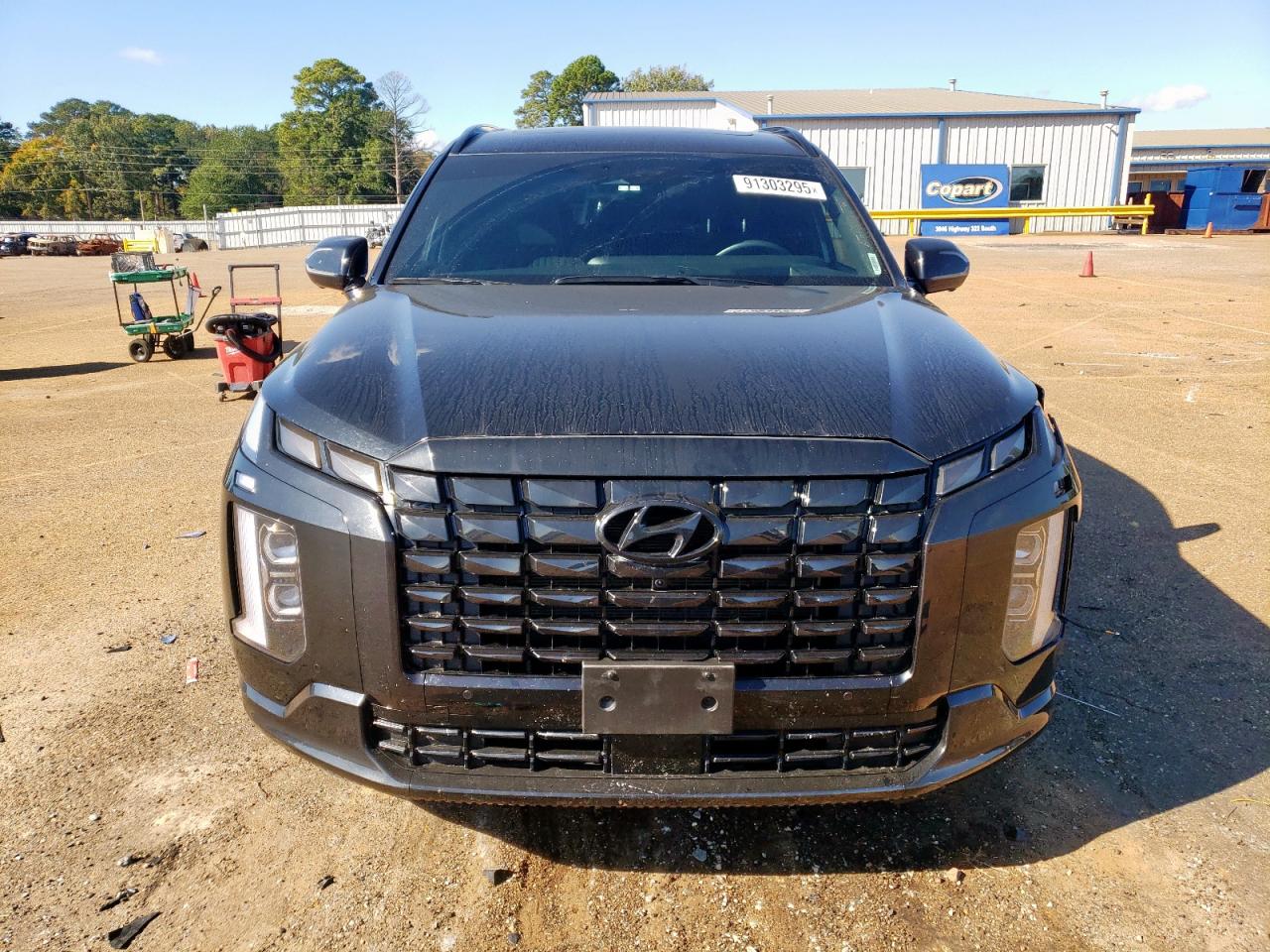 HYUNDAI PALISADE CALLIGRAPHY