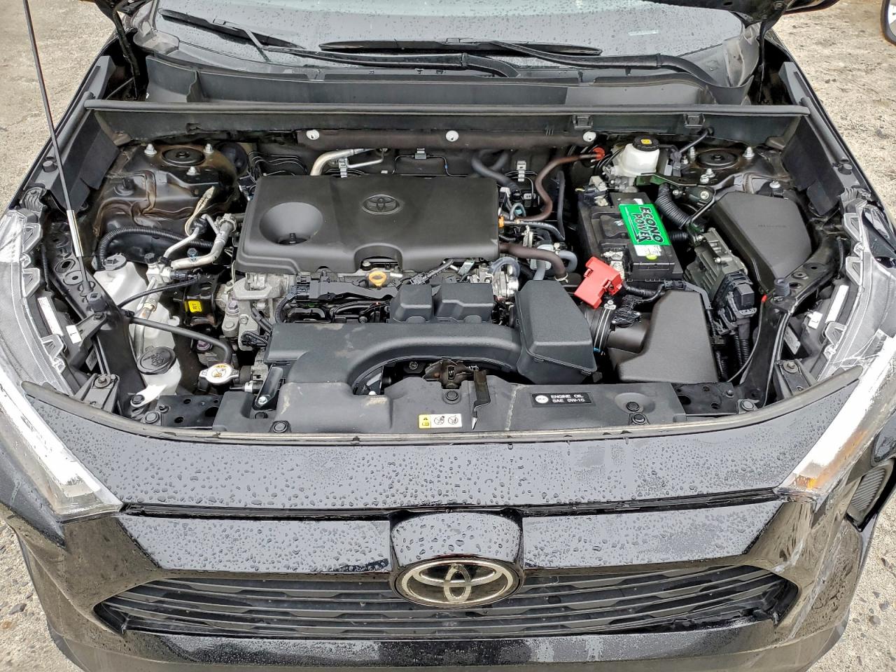 TOYOTA RAV4 XLE