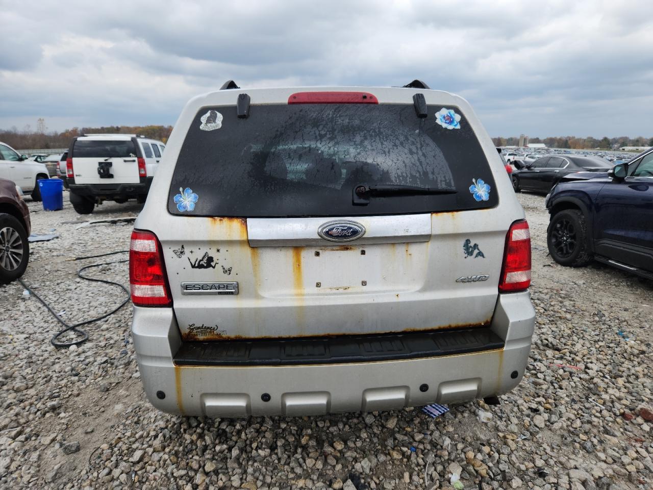 Lot #3284077538 2009 FORD ESCAPE LIM