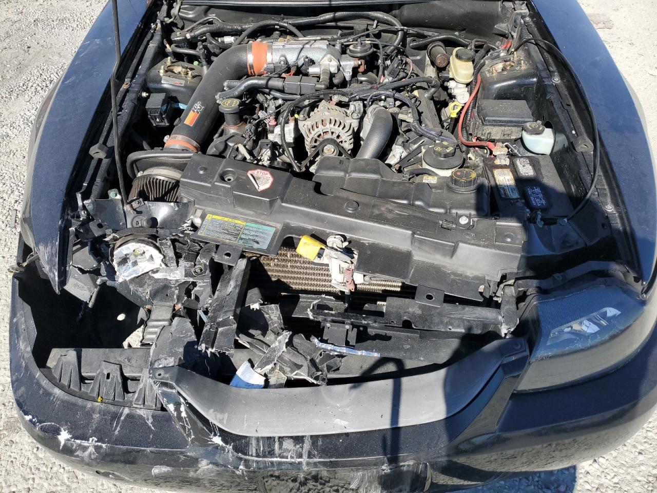 Lot #3302766396 2004 FORD MUSTANG GT