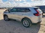 Lot #3292287264 2024 HONDA CR-V EXL