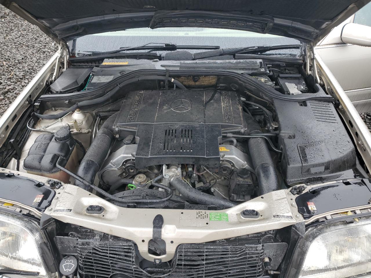 Lot #3294639043 1999 MERCEDES-BENZ S 500