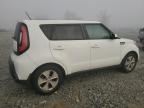 Lot #3308279171 2016 KIA SOUL
