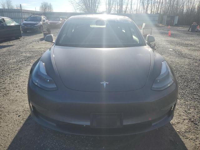 2023 TESLA MODEL 3 #3304059525