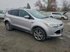 Lot #3298030134 2014 FORD ESCAPE TIT