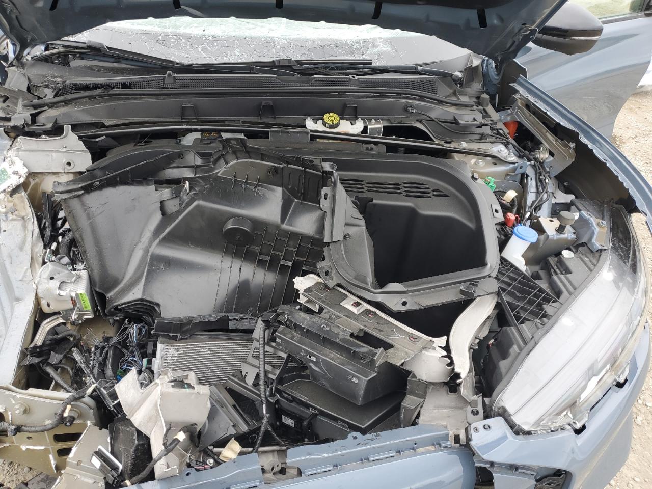 Lot #3316076237 2024 FORD MUSTANG MA