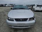 Lot #3308466285 2004 FORD MUSTANG