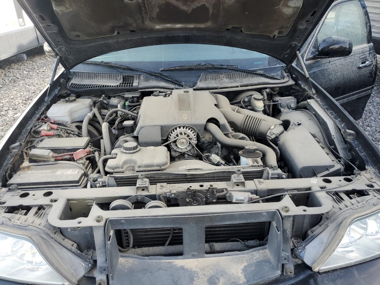 Lot #3297272378 2004 LINCOLN TOWN CAR E