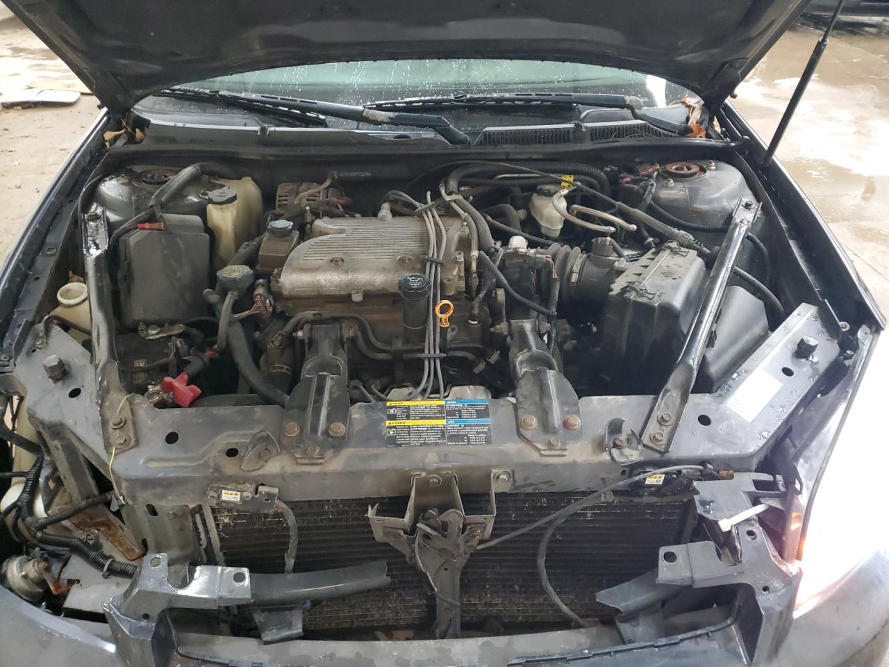 Lot #3287697034 2009 CHEVROLET IMPALA 1LT