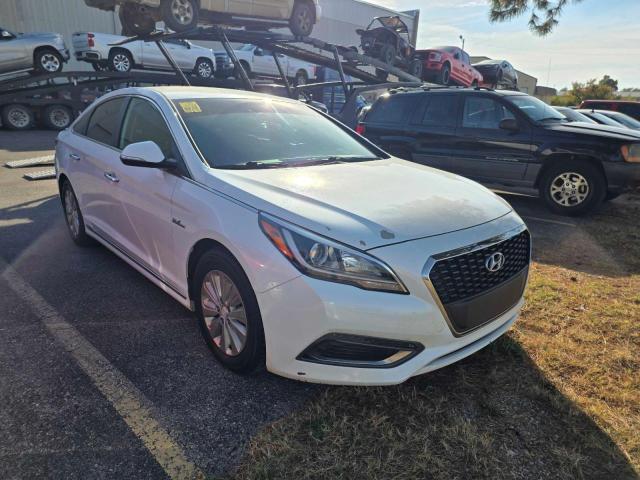 Global Auto Auctions: 2017 HYUNDAI SONATA HYB