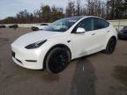 Lot #3311624247 2023 TESLA MODEL Y