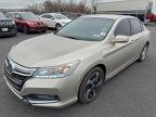 Lot #3296962833 2014 HONDA ACCORD PLU