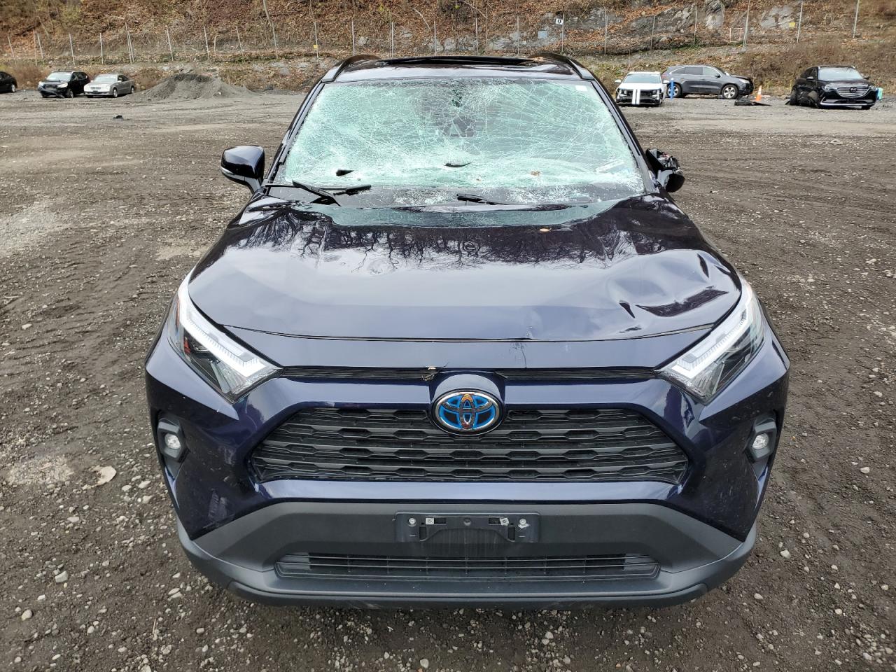 TOYOTA RAV4 XLE PREMIUM