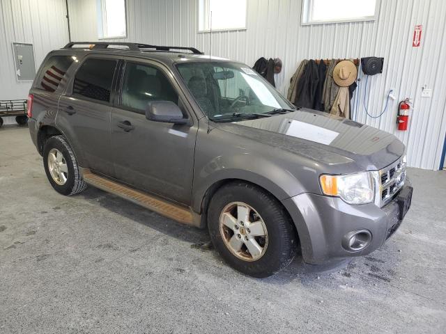 2011 FORD ESCAPE XLT - 1FMCU9DG1BKA97368