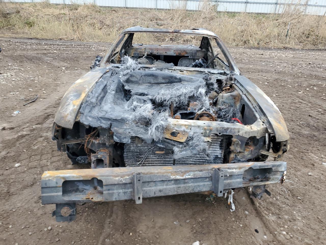 Lot #3297146490 1994 FORD MUSTANG CO