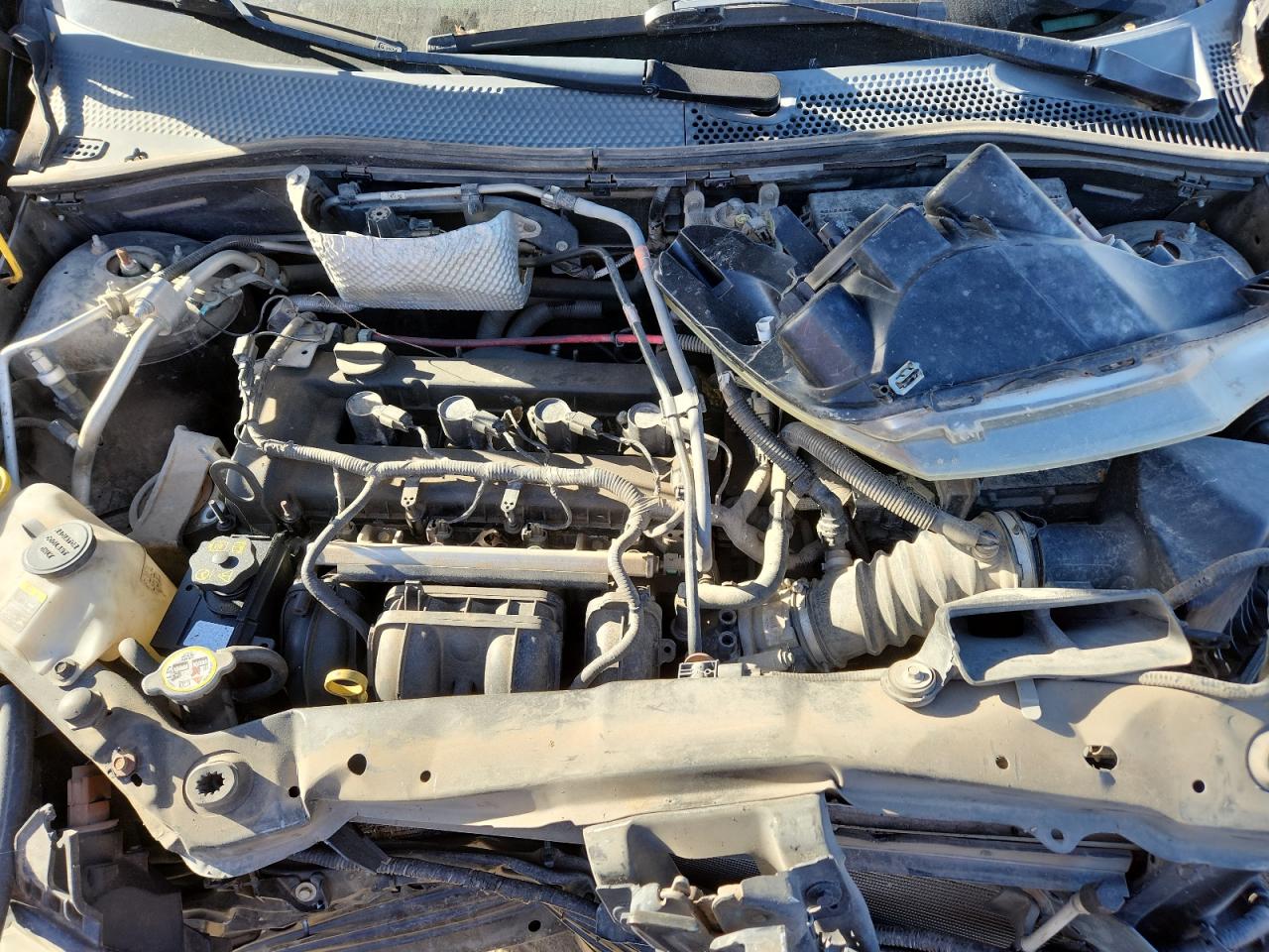 Lot #3298222035 2009 FORD FOCUS SE