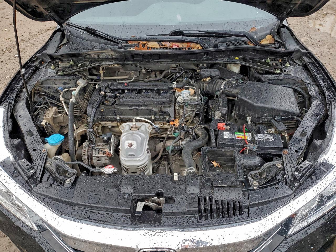 Lot #3298121151 2016 HONDA ACCORD SPO