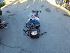 Lot #3304069494 2023 INDIAN MOTORCYCLE CO. SCOUT BOBB