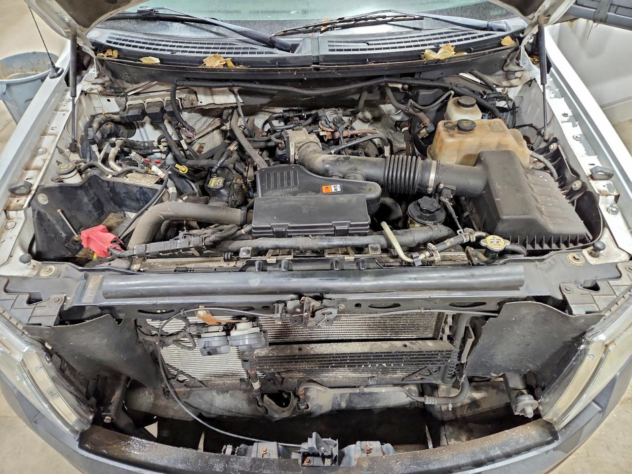 Lot #3297061528 2010 FORD F150