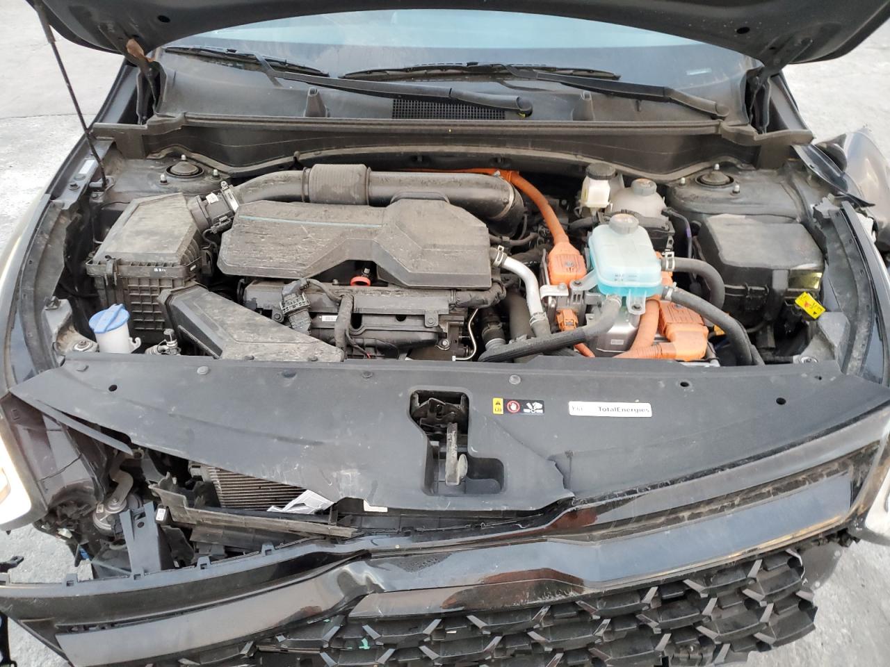 Lot #3308645505 2025 KIA SPORTAGE X