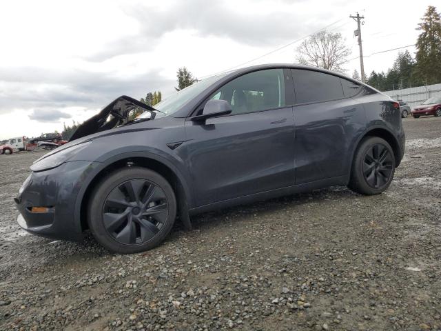 Global Auto Auctions: 2025 TESLA MODEL Y