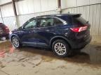 Lot #3303879747 2021 FORD ESCAPE SE