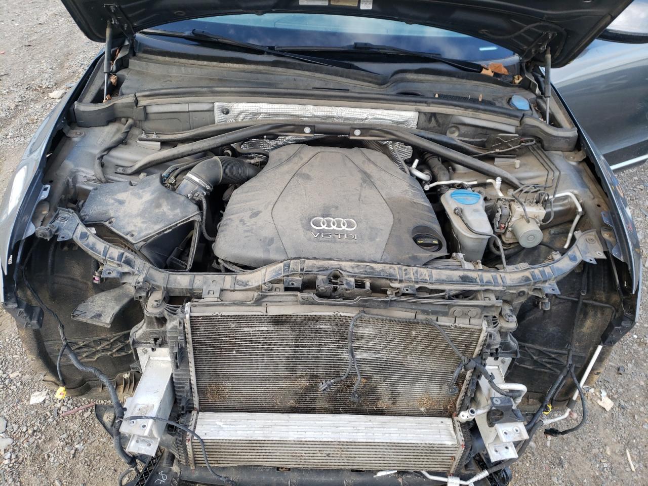 AUDI Q5 TDI PREMIUM PLUS