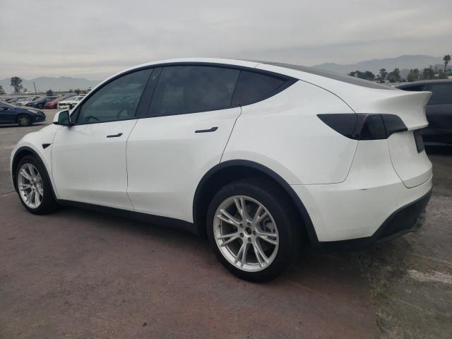 2022 TESLA MODEL Y #3302890958