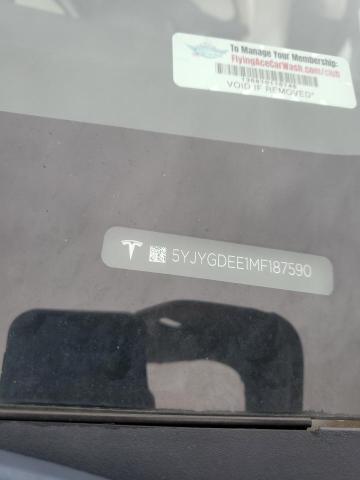 2021 TESLA MODEL Y #3301689654