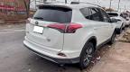 Lot #3303626931 2017 TOYOTA RAV4 XLE