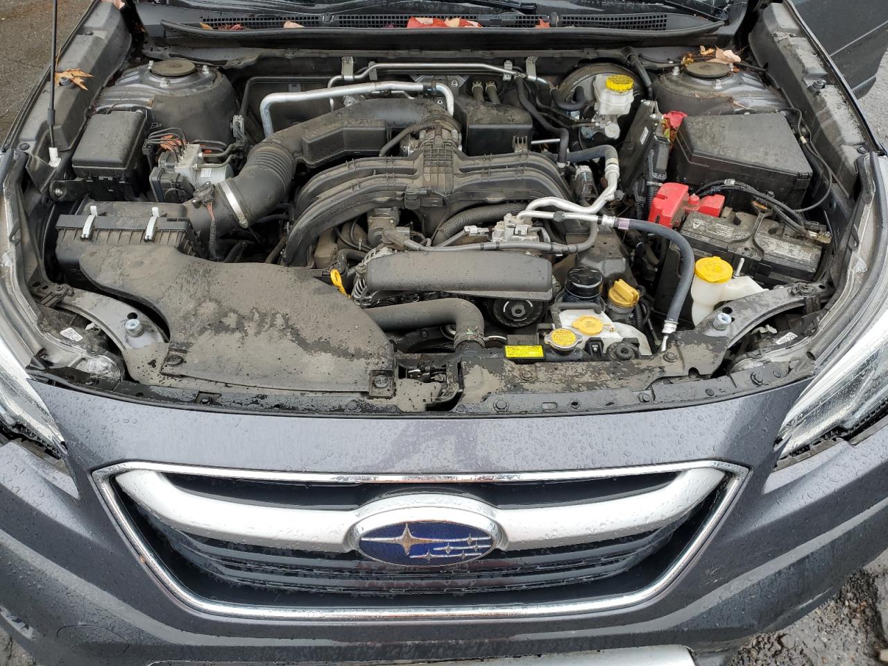 SUBARU OUTBACK LIMITED