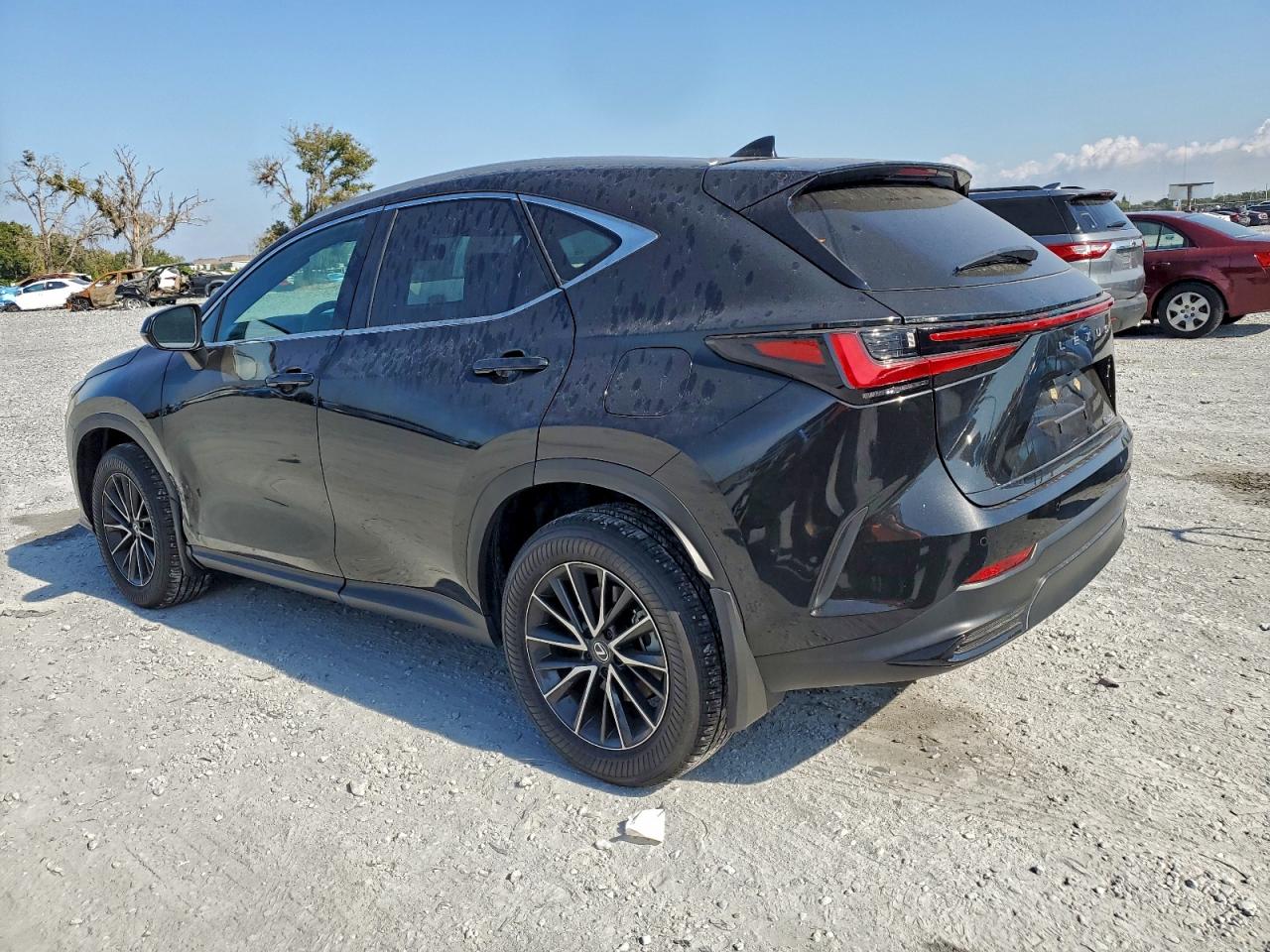 LEXUS NX 250 PREMIUM