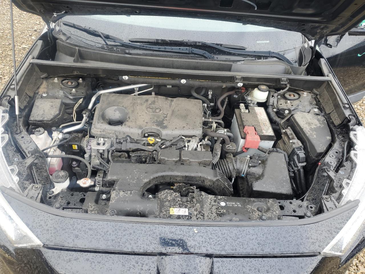 TOYOTA RAV4 XLE PREMIUM