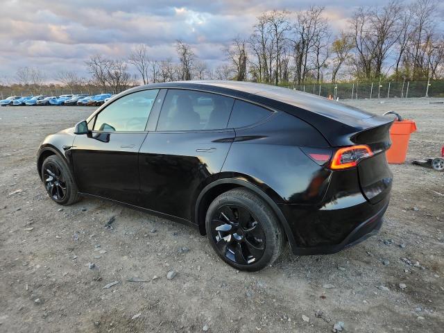 2024 TESLA MODEL Y #3294215276