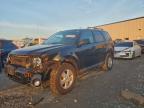 Lot #3304619466 2011 FORD ESCAPE XLT