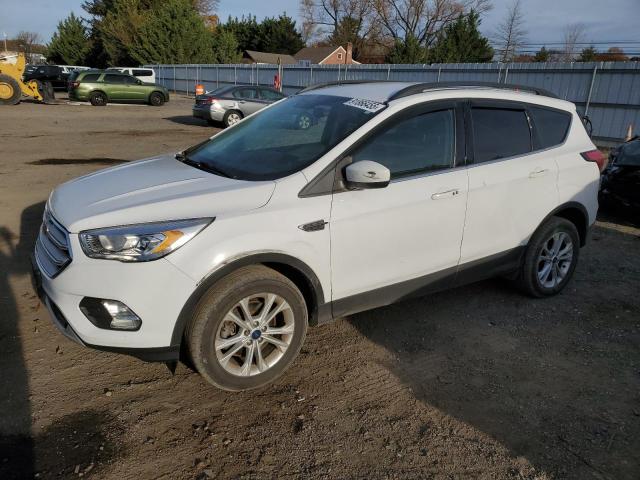 Global Auto Auctions: 2019 FORD ESCAPE SEL