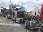 Lot #3303912699 2007 KENWORTH W900