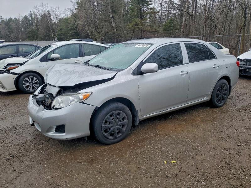 Global Auto Auctions: 2009 TOYOTA COROLLA BA