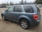 Lot #3309564576 2011 FORD ESCAPE XLT