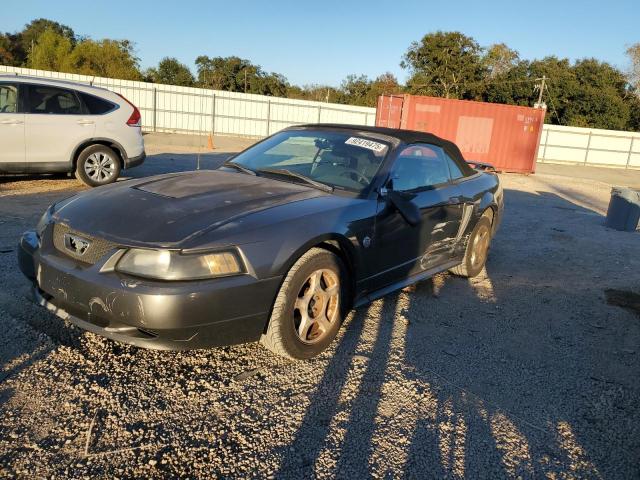 Global Auto Auctions: 2004 FORD MUSTANG
