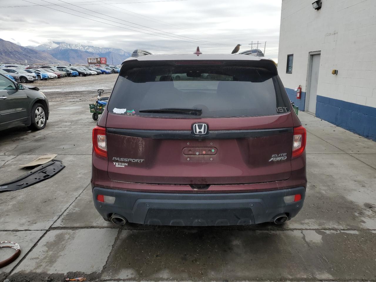 HONDA PASSPORT ELITE