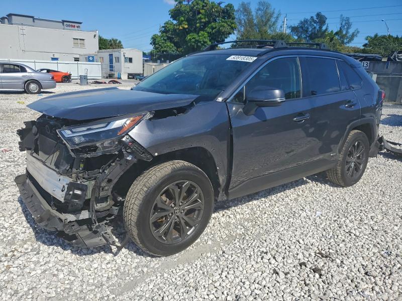 2023 TOYOTA RAV4 XLE P #3303884729